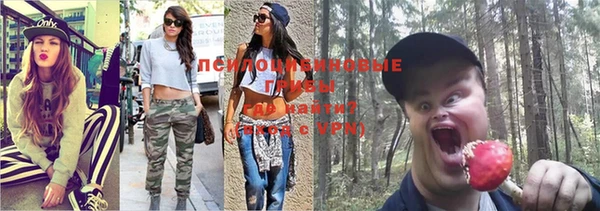 дурь Богданович